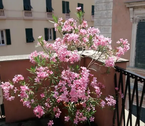 La Casa Del Viaggiatore * Genua